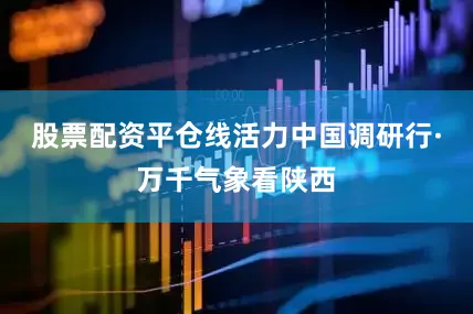 股票配资平仓线活力中国调研行·万千气象看陕西