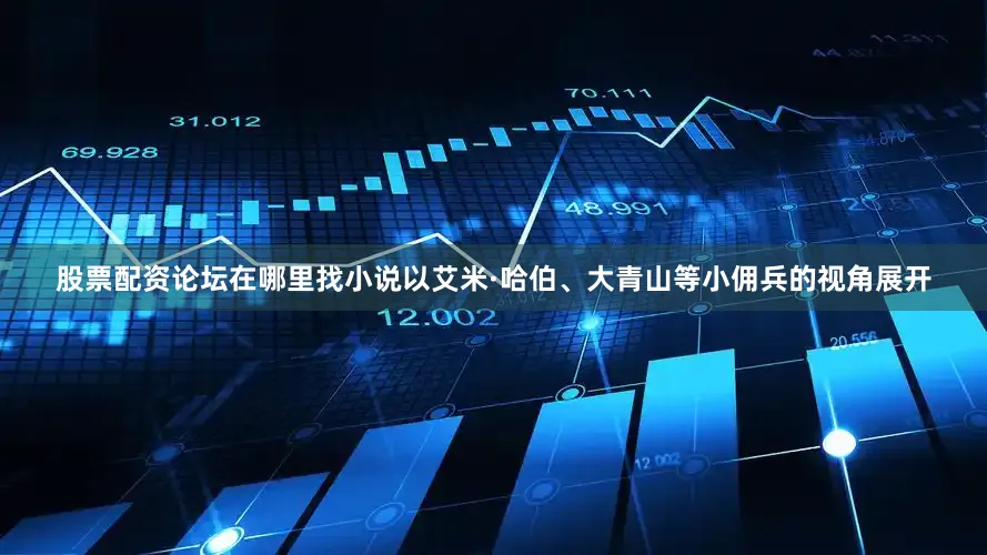 股票配资论坛在哪里找小说以艾米·哈伯、大青山等小佣兵的视角展开